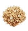 Ivory Sola Natural Dried Flowers On Coconut Shell Decorated With Coir