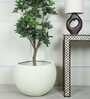 Ivory Sphere Large Round Resin Planter