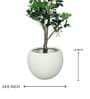 Ivory Sphere Medium Round Resin Planter Ivory Sphere Medium Round Resin Planter