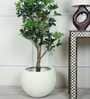 Ivory Sphere Medium Round Resin Planter Ivory Sphere Medium Round Resin Planter