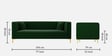Jack Velvet 3 Seater Sofa In Green Colour