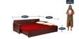 Jair Sofa cum Bed in Brown Colur