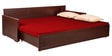 Jair Sofa cum Bed in Brown Colur