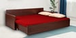 Jair Sofa cum Bed in Brown Colur