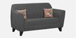 Java Fabric 2 Seater Sofa In Grey Colour