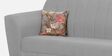 Java Velvet 2 Seater Sofa In Grey Colour