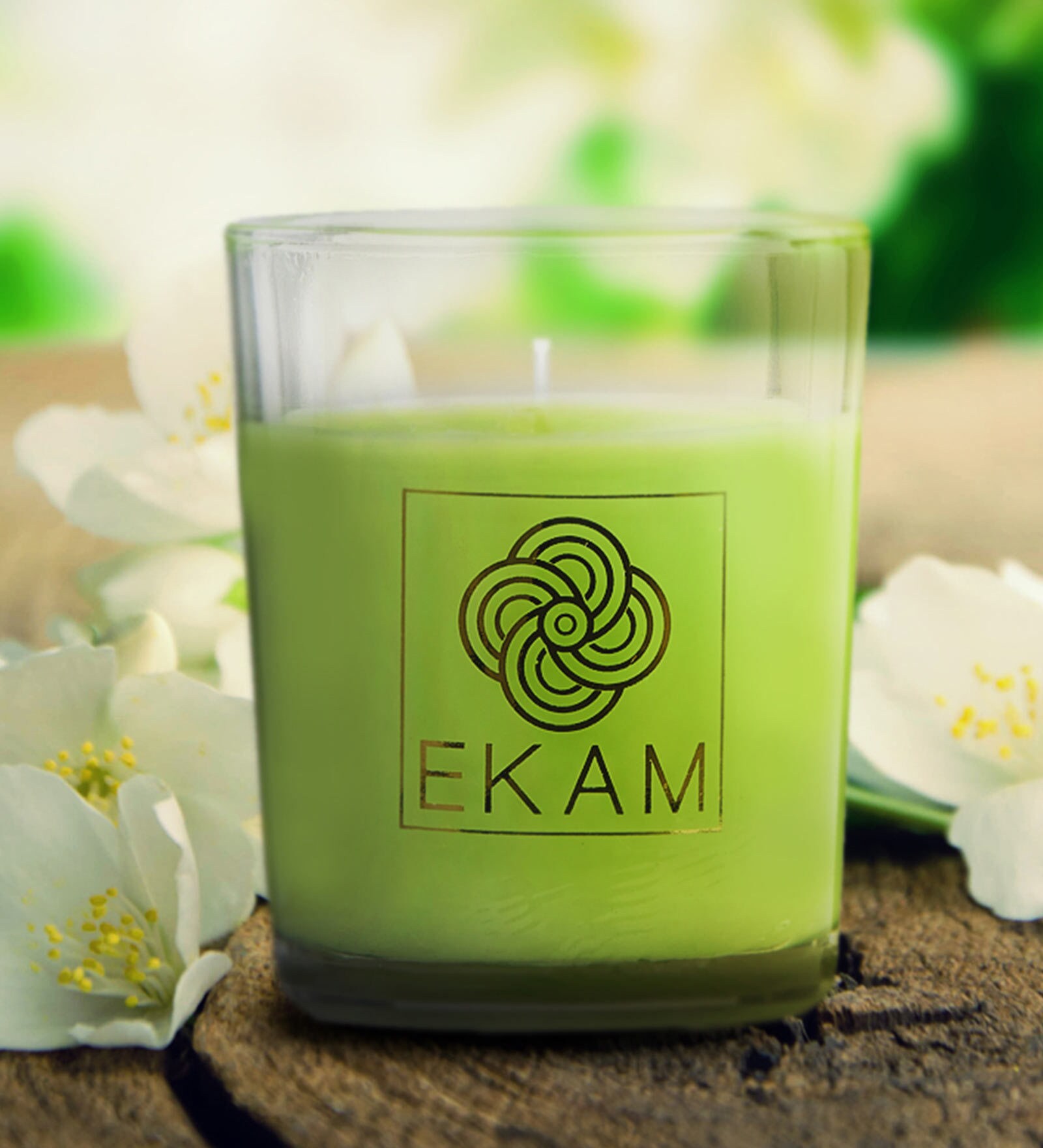 Buy Jasmine Aroma Set Of 12 Scented Candles By Ekam at 26 OFF by EKAM