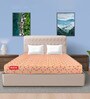 Jade 4 Inch Foam Single Size Mattress
