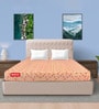 Jade 6 Inch Foam King Size Mattress