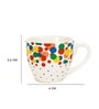 Jainil Cup And Saucer Set Of 6