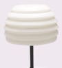 Jainsons Emporio White Tree LED Indoor Outdoor Lamp