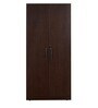 Jaipur 2 Door Wardrobe in Brown Maple Finish