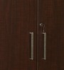 Jaipur 2 Door Wardrobe in Brown Maple Finish