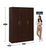Jaipur 3 Door Wardrobe in Brown Maple Finish