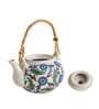 Jaipur Backyard 450ml White & Blue Ceramic Tea Pot