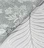 Jaipuri 100% Cotton 280TC Double Bedsheet With 2 Pillow Covers