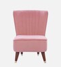 Jane Velvet Slipper Chair in Pink Colour