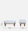 Janet Coffee Table In White Colour Janet Coffee Table In White Colour