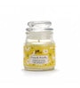 Jar Candle with Lid (French Vanilla)
