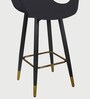 Jasey Full Back Bar Stool in Black Colour