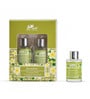 Jasmine Glass Aroma Oil (Green)