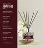 Jasmine Reed Diffuser With 6 Fiber Reed Sticks