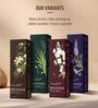 Jasmine Reed Diffuser With 6 Fiber Reed Sticks