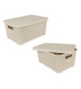 Jaypee PPR Plastic Ivory Boxes with Lid 9 L- Set of 2