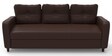 Jerry 3 Seater Sofa in Choco Brown Colour