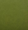 Jean Leatherette Seating Stool In Green Colour