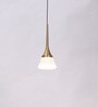 Elowen Brass Aluminium LED Ceiling Lights
