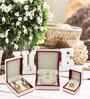 Maroon Jhumka Ring Earrings Display Jewellery Organiser Box