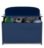 Jhonny Kids' Kids Storage Box in Blue Colour
