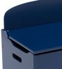 Jhonny Kids' Kids Storage Box in Blue Colour