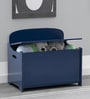 Jhonny Kids' Kids Storage Box in Blue Colour