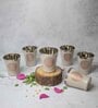 Beige Stainless Steel Bucket 300 ml Printed (Set of 6) Everyday Glasses