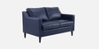 Jordana 2 Seater Sofa In Blue Colour With Matte Finish