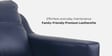 Jordana 2 Seater Sofa In Blue Colour With Matte Finish