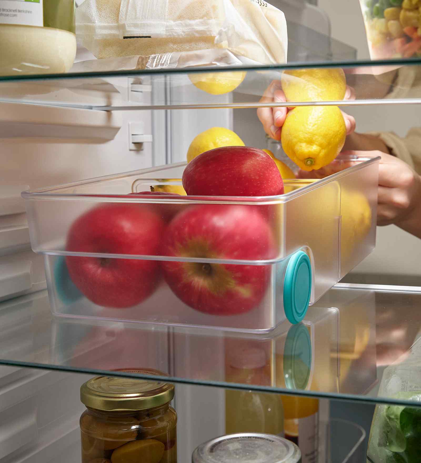 FridgeStore Large Storage Bin