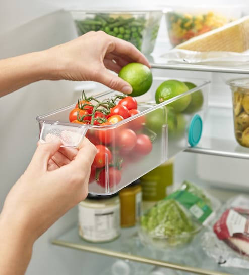 FridgeStore Compact Fridge Storage Bin