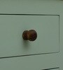 Joaquin Mango Wood Cabinet In Canary Green Finish