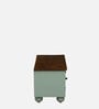 Joaquin Mango Wood TV Unit In Canary Green Finish