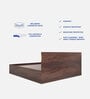 Joben Queen Size Bed In Walnut Melamine Finish With Box Storage