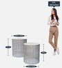 John Metal Nest of Tables in Silver Finish (Set Of 2)