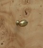 Jolanta Oak Burl Veneer 2 Drawers Side Table in Natural finish