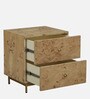 Jolanta Oak Burl Veneer 2 Drawers Side Table in Natural finish