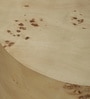 Jolanta Oak Burl Veneer Small End Table in Natural finish