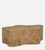 Jolanta Oak Burl Veneer Star Shape Coffee Table in Natural finish 