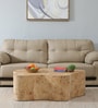 Jolanta Oak Burl Veneer Star Shape Coffee Table in Natural finish 