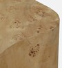 Jolanta Oak Burl Veneer Star Shape End Table in Natural finish